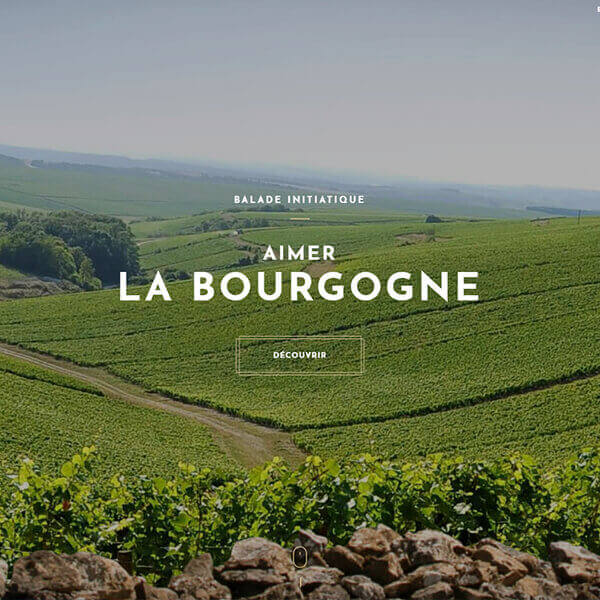 Site de Louis Jadot géré par Alan Le Goff